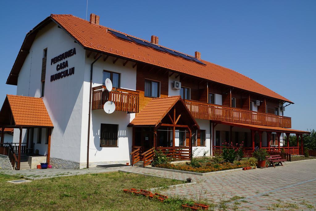 Pensiunea Casa Bunicului Mociu Exterior photo